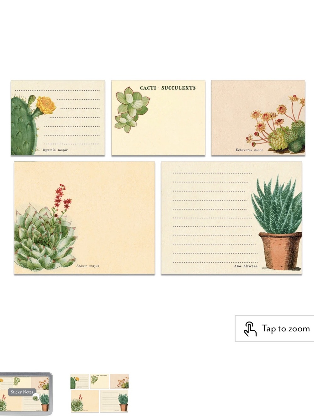 Cavallini &Co. Sticky Notes Succulents NWT 300 count 5 separate sticky note pads - Picture 15 of 16